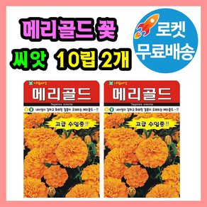 메리골드 꽃 씨앗 (합 20립) 종자 꽃씨, 2개