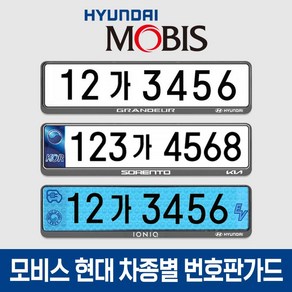 현대모비스 차종별 번호판가드 캐스퍼 2종 세트, 1세트, 블랙