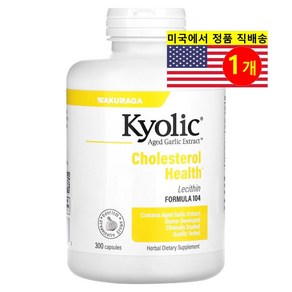 Kyolic 쿄릭 숙성 마늘 추출 104 레시틴 함유 Aged Galic Extact with Lecithin, 1개, 300정