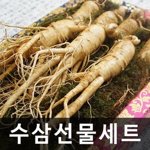 청명네이처 금산인삼 수삼선물세트(왕대)(1kg)(7~8뿌리) 고급한지상자, 1개, 1kg