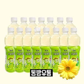 동방유통 중국음료 캉스푸 포도음료 500ml 1박스