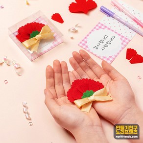 펠트브로치 카네이션 어버이날 미술만들기 초등장난감키트 수업재료