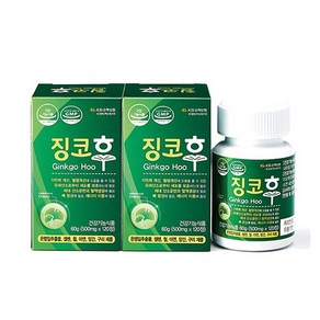 징코후 500mg 은행잎추출물 혈행개선 기억력개선