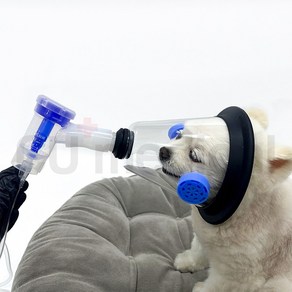 [당일발송] 강아지 네블라이저 파리보이 고양이 네뷸라이저 약물치료 아기 가정용 저소음, 1세트