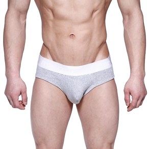 METROMALEWEAR [M2W] Profile Hip Brief Gray (1303-10)