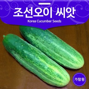 조선오이 씨앗 오이 종자 토종 재래종 채소씨앗 50알