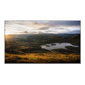 LG전자 4K UHD QNED evo TV 방문설치, 217cm(86인치), 86QNED91TKA, 벽걸이형