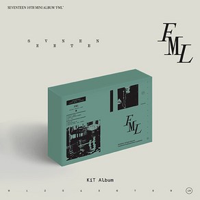 [SEVENTEEN] 세븐틴 미니10집 FML [KiT Ve.] / 아웃박스+에어 키트+크레딧 카드+엽서+포토카드(26종)+셀카 포토카드