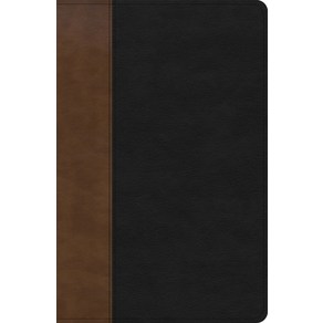 (영문도서) KJV Pesonal Size Giant Pint Bible Black/Bown Leathetouch Imitation Leathe, Holman Bibles, English, 9781430094760