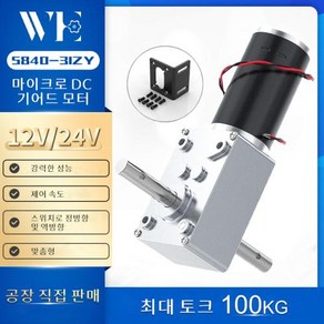 전동계단 리프트 Bingsmat 더블 샤프트 DC 모터 웜 기어 높은 토크 70 KGCM 24 볼트 D 감속기 리버시블 12V, 17) 12V 12RPM - Single gea mo, 1개