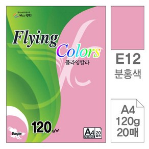 플라잉칼라 E12 분홍색 A4 120g 복사용지 20매입 10개, 단품