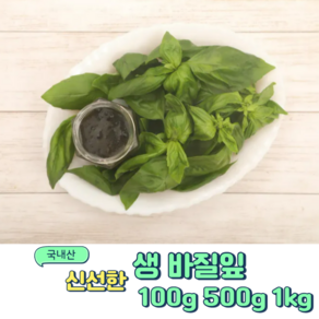 국내산 신선한 바질 100g 500g 1kg, 1개