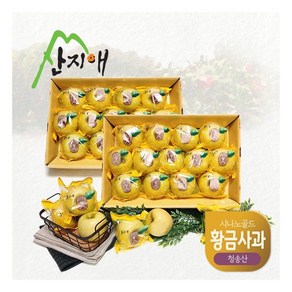 산지애 황금사과 시나노골드 3kg 2box 중과 청송산 당도선별 12bix, 2개, 상세 설명 참조