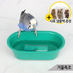 거울욕조 앵무새 장난감 소형새 목욕통 모이통 물놀이