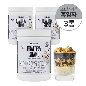 단호한결심 빼드라 단백질 쉐이크 흑임자 맛 다이어트 식사대용, 3개, 250g