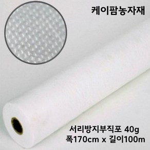 케이팜 40g 폭170cm 길이100m 서리방지부직포 못자리 냉해방지 마늘부직포 월동 한랭사 한냉사 병충해방지 겨울작물, 1개