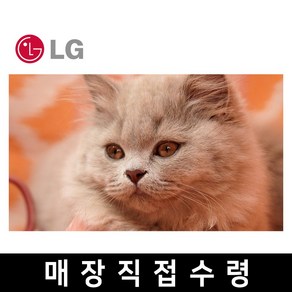 LG 엘지 65인치 TV 4K 스마트 UHD 65UQ8000 넷플릭스 핫딜, 고객직접설치, 스탠드형, LG 65인치