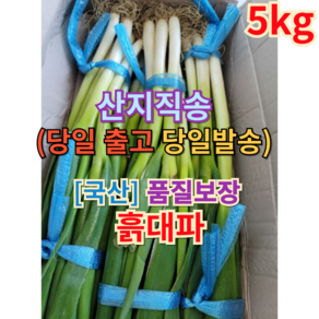 [현지] 국산 흙대파 5키로 당일수확 (+빠른배송) 산지직송, 5kg, 1개