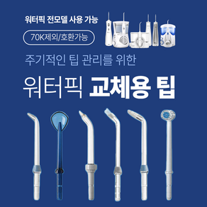 워터픽 구강세정기 전용팁 노즐팁, 플라그팁(호환가능/70K제외), 1개