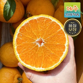 산지직송 제주도 당도보장 한라봉 3kg 5kg 가정용/선물세트, 1박스, 1.5kg, 7.한라봉 로얄 [소과] 1.5kg