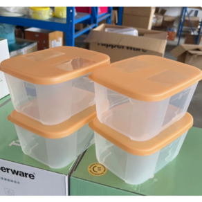 타파웨어 냉동 냉장 반찬용기 밀폐용기 700ml 4종세트 Tupperware