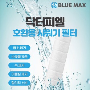 블루맥스 닥터피엘 샤워기 필터 녹물제거 호환필터, 알뜰형(캡없음)벌크포장, 10개