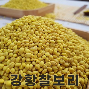 밥보야 24년산 강황찰보리 2kg 기능성보리, 1개