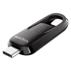 샌디스크 C타입 USB 메모리 CZ480, 1개, 256GB