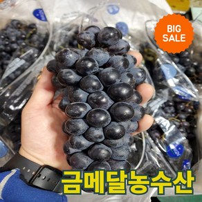 금메달농수산 직수입 프리미엄 블랙포도 블랙세이블 미드나잇골드, 1개, 2kg