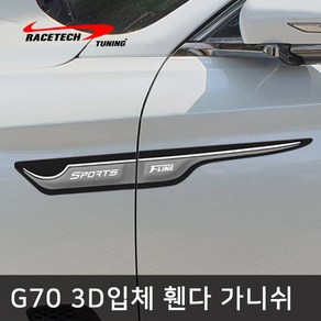 레이스텍 제네시스 G70 스타일리쉬 3D입체 휀다 가니쉬, 1개