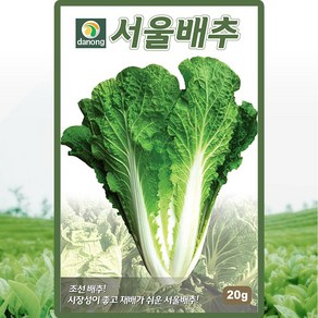 다농 서울배추 씨앗 20g, 1개