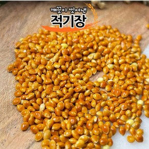 햄스터 간식 세척 볶은 적기장, 1개, 100g