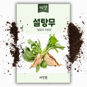 설탕무 씨앗 (100립), 1개