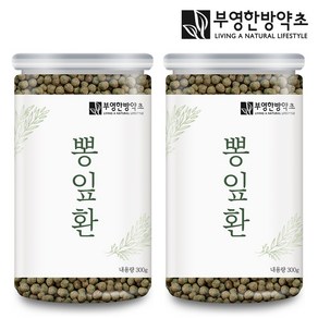 부영한방약초 국산 뽕잎환 300g, 2개