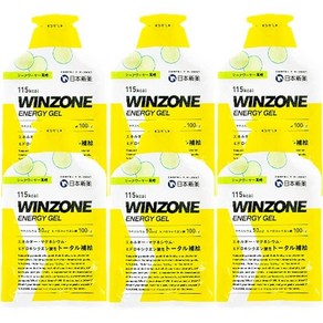 일본신약 WINZONE 마라톤 에너지젤리