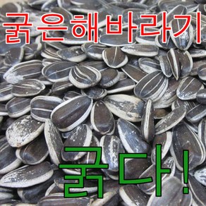 대형 해바라기씨 100g / 굵은 해바라기씨, 1개