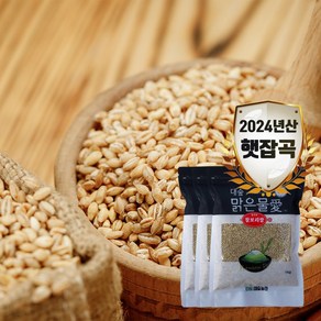 [대숲맑은물애] 24년산 구수한맛 일품 찰보리쌀 1kg-5kg, 1개, 3kg