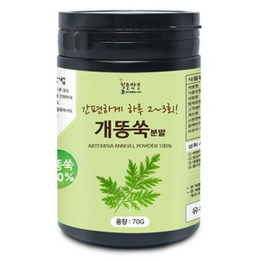 불로약초 개똥쑥 분말(국산) 70g(통)