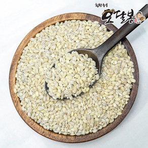 힘찬농부 국산 늘보리쌀, 1개, 5kg