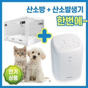 강아지 산소방 산소발생기 고양이 애견 반려견 가정용, 본체+중형 산소방, 1세트