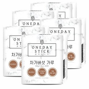 차가버섯 분말 가루 스틱 30포 x 2g x 5, 5개, 60g