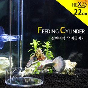 HEXA 피딩 실린더/ 먹이 급여기 FS-22 / 사료 밥 열대어 구피 쉬림프 관상어 침하성 푸드 피딩컵, 1개