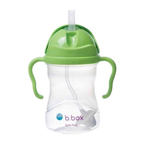 B.Box 비박스 시피컵 애플 유아 빨대컵 240ml Sippy Cup Apple, 엘사, 1개