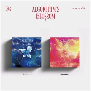 [CD] QWER (큐더블유이알) - 미니앨범 2집 : Algorithm's Blossom [2종 중 1종 랜덤발송] : 포토북 + 엽서세트 (5종) + C...