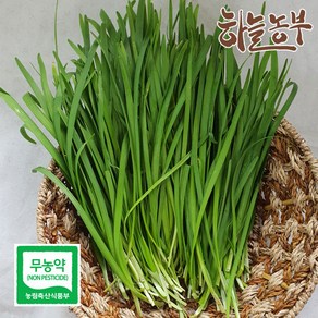 하늘농부 친환경 부추, 부추 170g, 1개, 170g