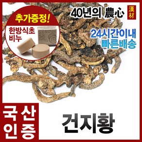 자애인 국산 건지황 600g 지황 건조 지황뿌리 경북안동, 1개