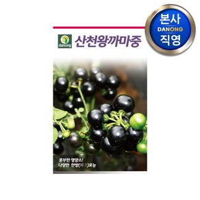 산천 왕까마중 씨앗 50립 . 야채 채소 텃밭 파종 재배 주말 농장 씨 종자, 1개