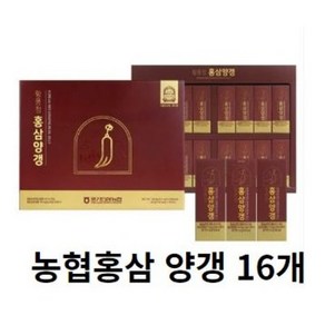 (농협홍삼) 황풍정 6년근 홍삼양갱 45g X 16개 풍기인삼농협, 1개, 720g