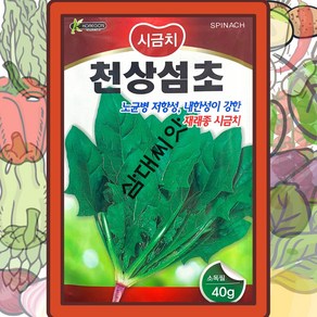 재래종섬초씨앗 월동시금치씨 겨울시금치종자 천상섬초 40g, 6.참맛시금치(남해시금치씨앗), 1개