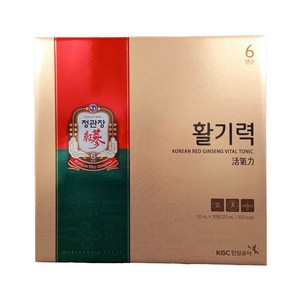 정관장 활기력 20ml 16병 수험생 휴대용 홍삼, 1개, 320ml